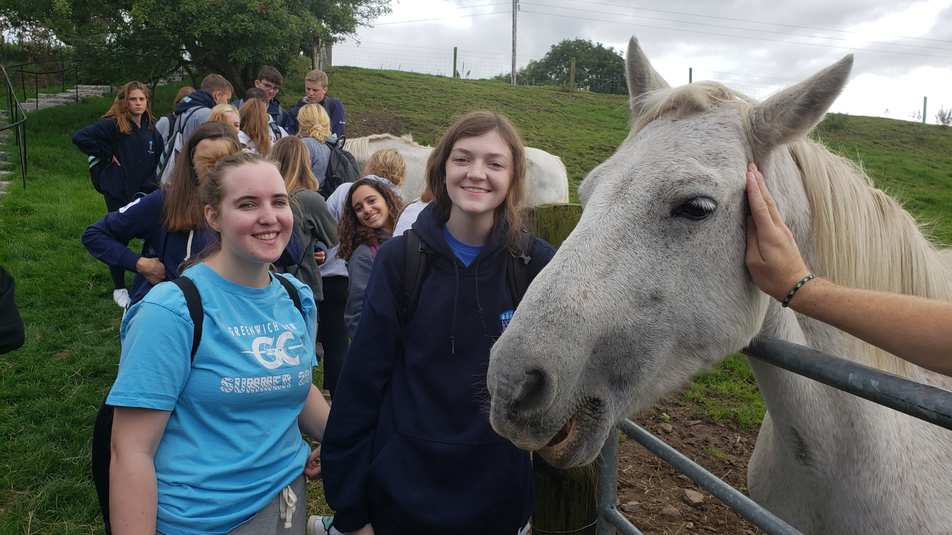 Off-campus excursion to a farm