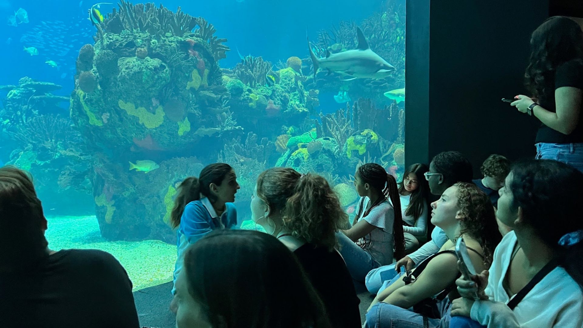 Aquarium excursion
