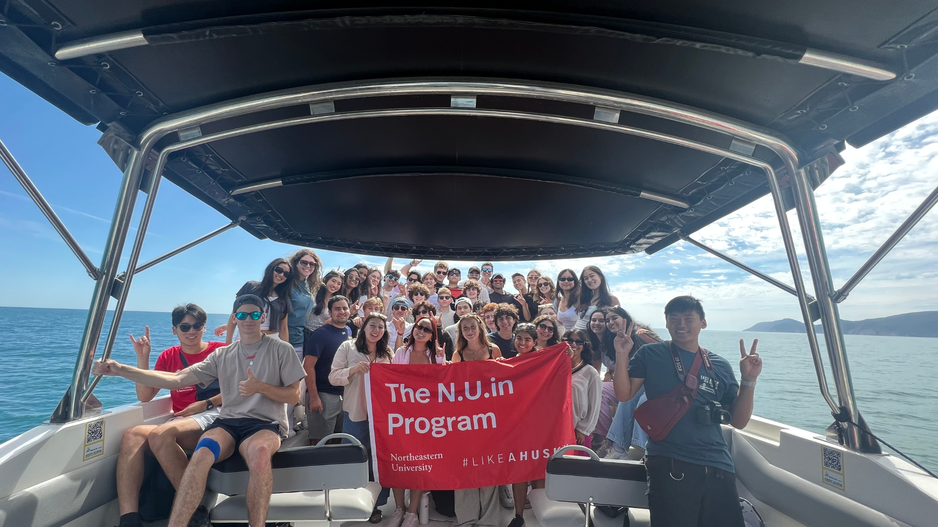 Dolphin boat excursion