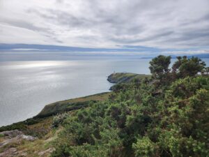 N.U.in Ireland